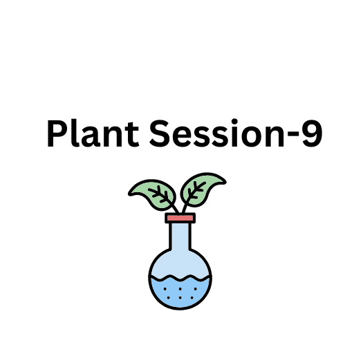 Plant Session-9